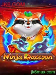 NinjaRaccoon